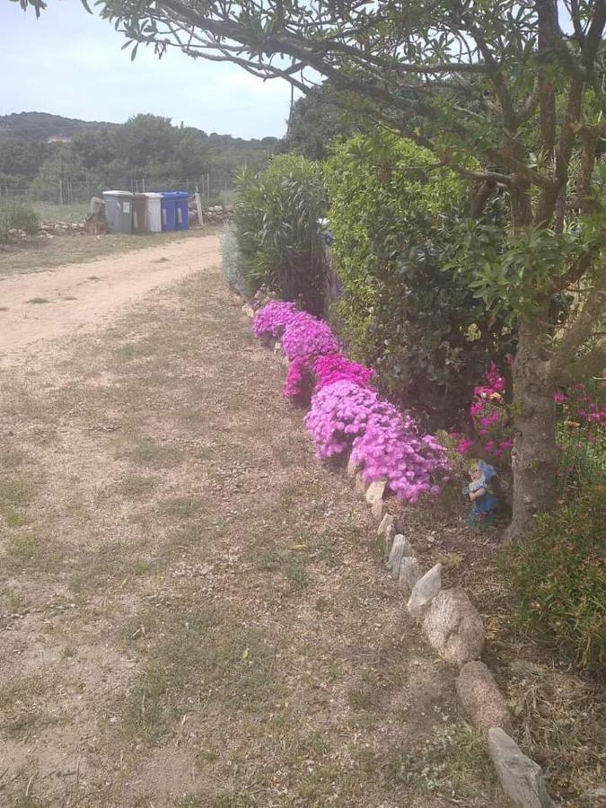 B&B Li Salcuneddi Aglientu Zewnętrze zdjęcie